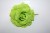 Fleur Vert anis avec une pince Réf:fleur011